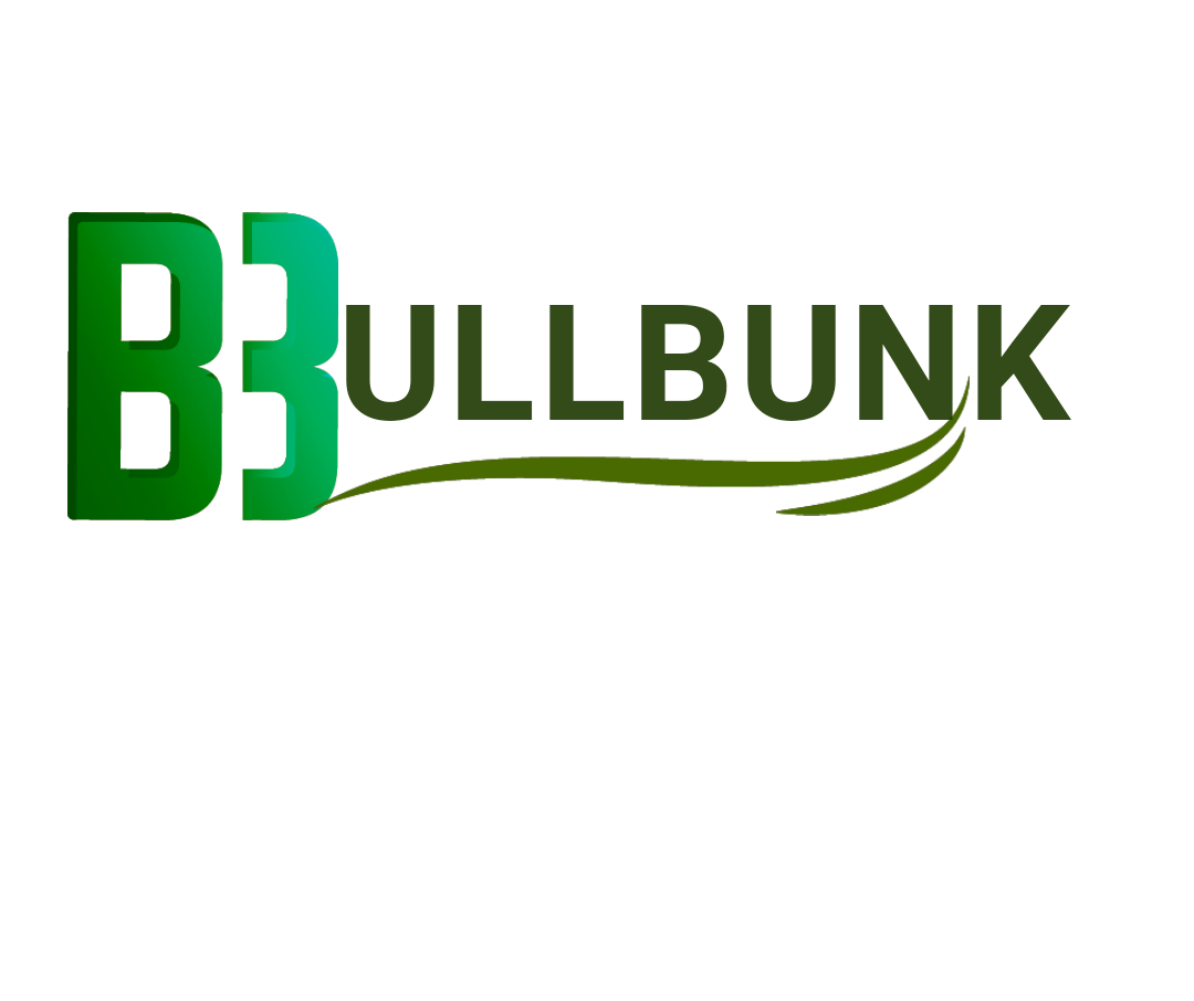 bullbunk.com